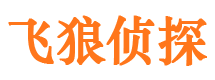 环江市侦探调查公司